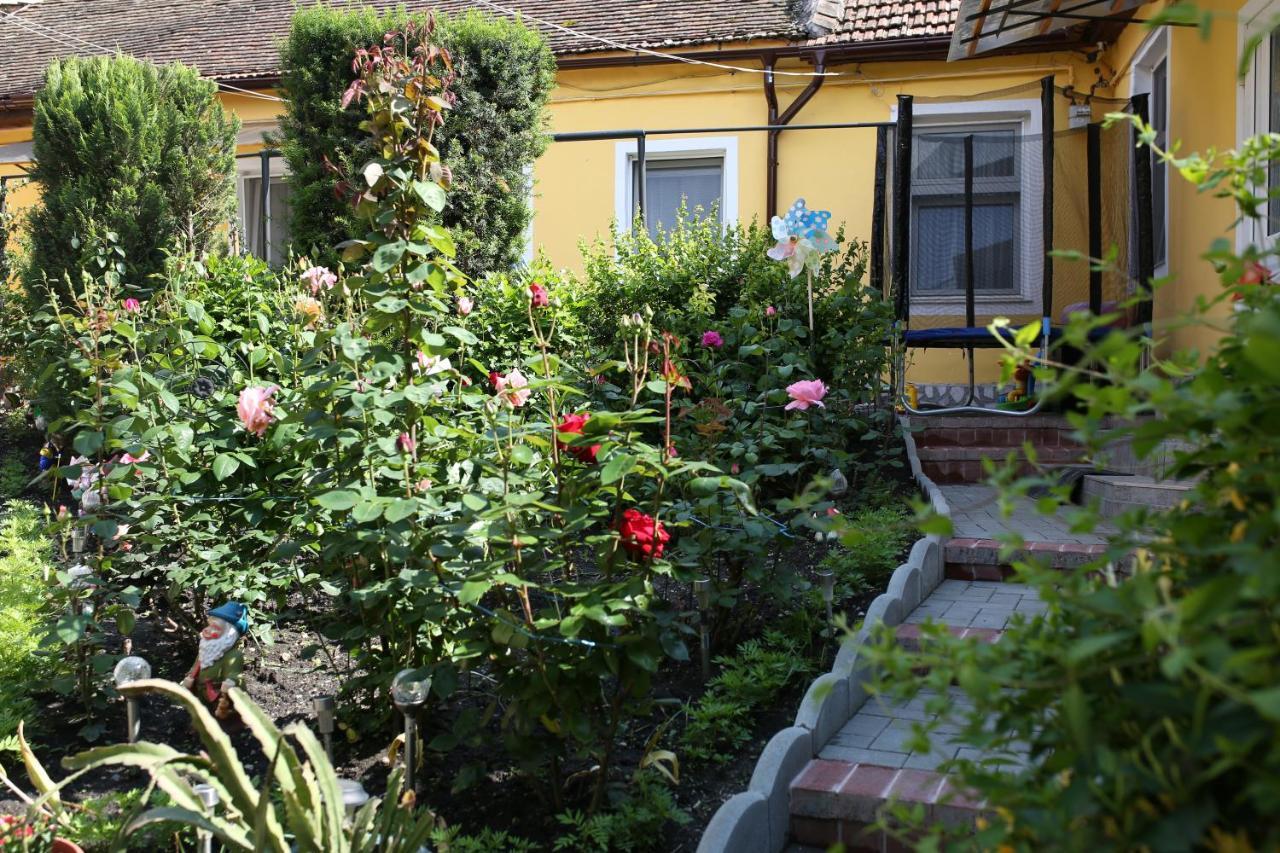 Color Home Hermannstadt Exteriér fotografie